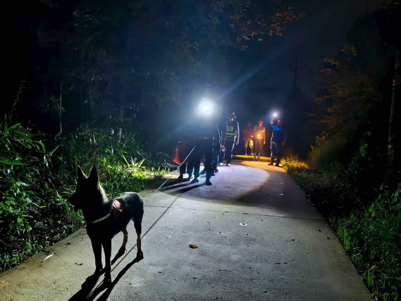 微信图片_20250826063826